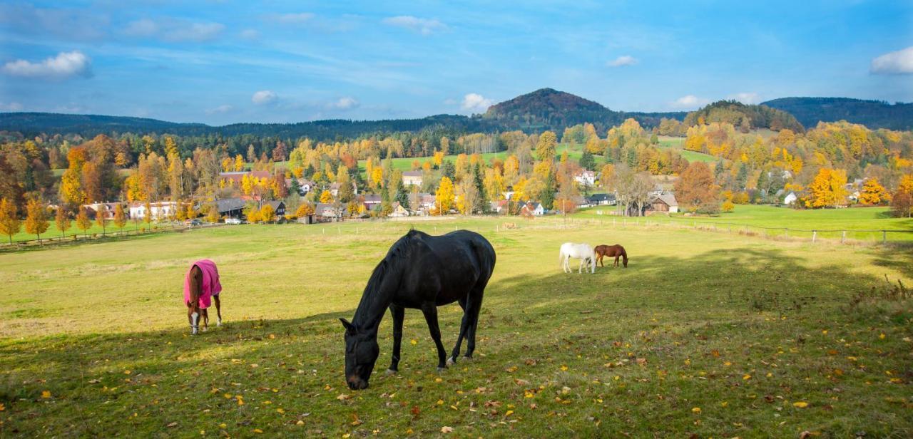 Penzion Na Stodolci Chřibská Buitenkant foto